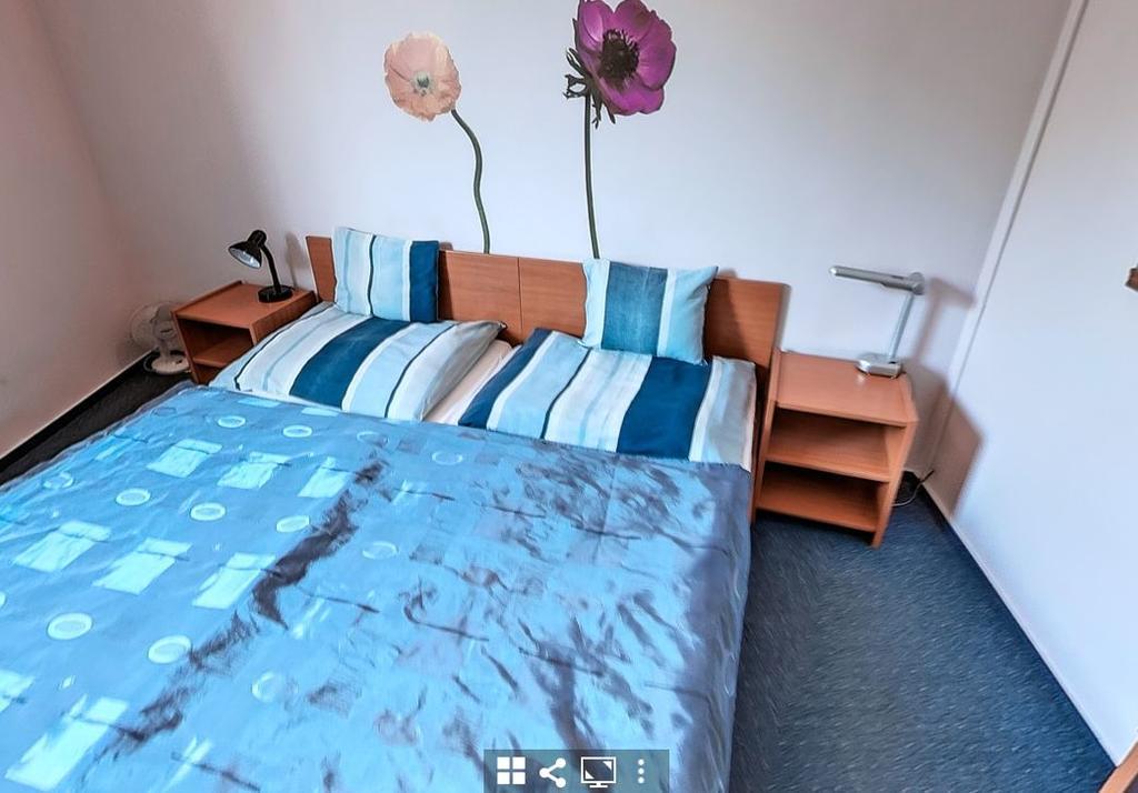 Bed and Breakfast Timarhaz Panzio à Szeged Extérieur photo